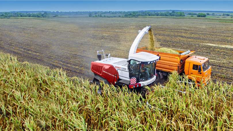 Agcom | Hemp Plant | Harvesting Machine